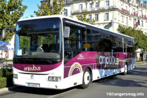 Anjou bus 49