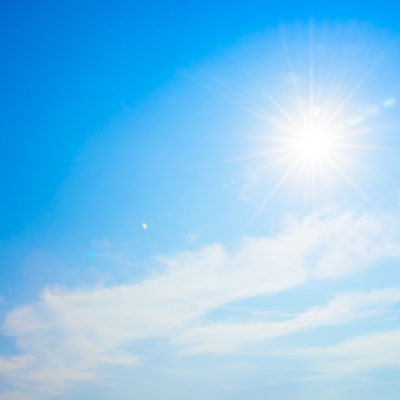 Photo de l'article La Ville face à la canicule