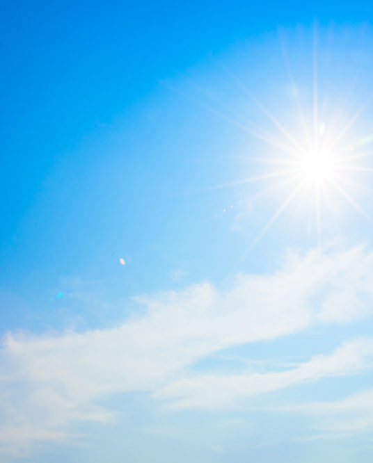 Image de l'article La Ville face à la canicule