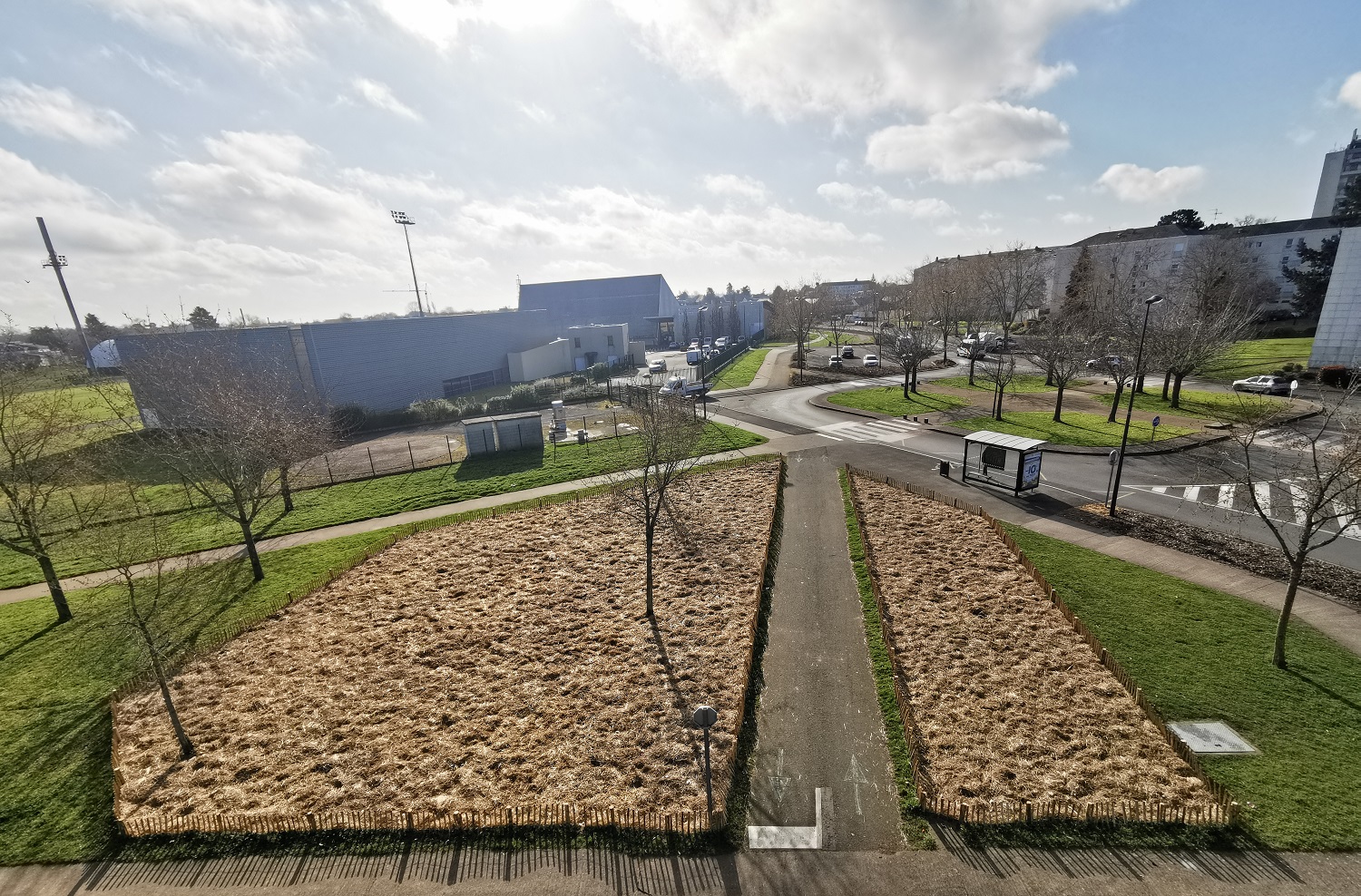 Image de l'article Une deuxième micro-forêt à Trélazé