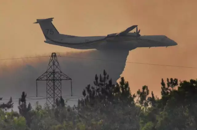 Image de l'article Incendie à Trélazé samedi 13 aout