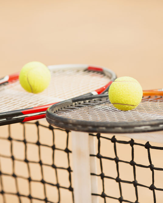 Image de l'article Des places offertes aux habitants pour la 3e édition Open P2i Arena Loire Trélazé