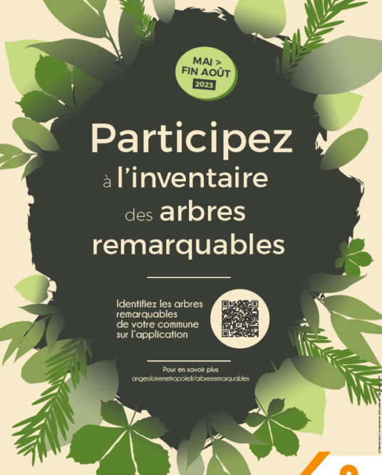 Image de l'article Participez à l’inventaire sur les arbres remarquables !
