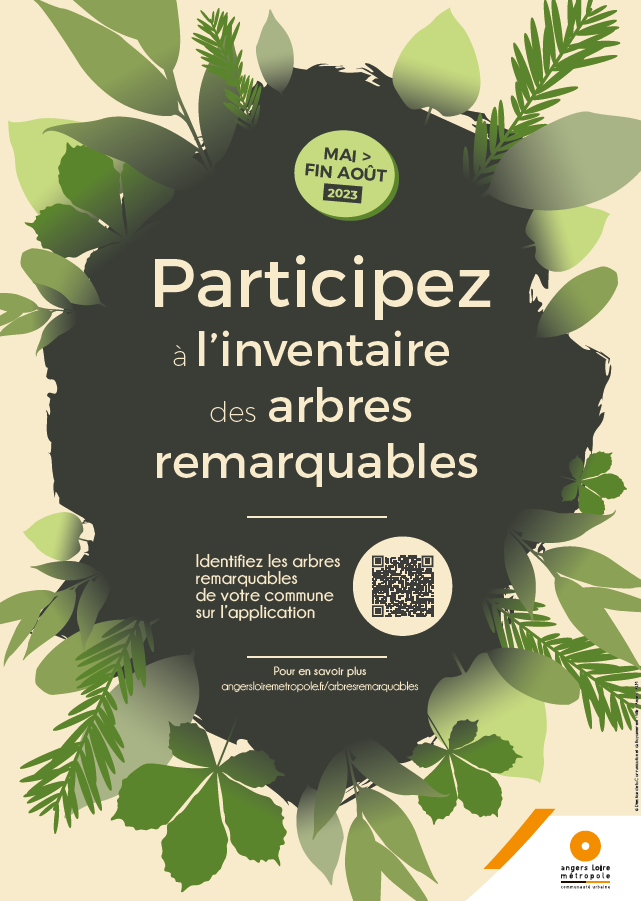 Image de l'article Participez à l’inventaire sur les arbres remarquables !