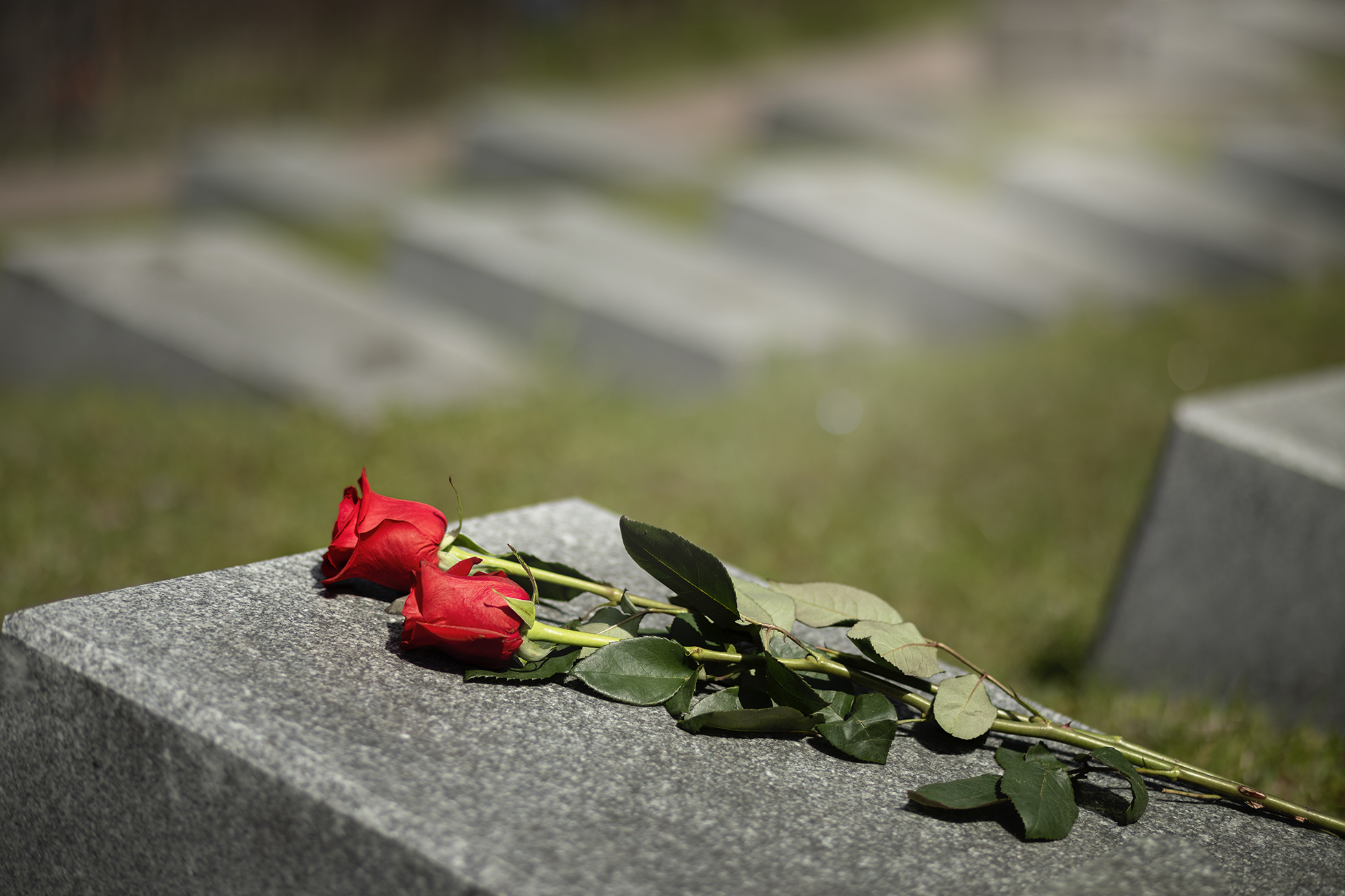 Image de l'évènement Premier constat d’état d’abandon dans le cimetière de Trélazé