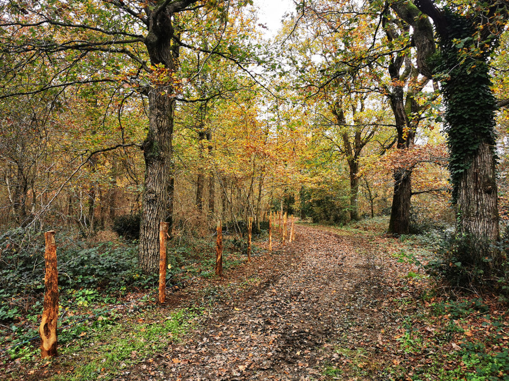 Le bois de la Quantinière sécurisé - Ville de Trélazé