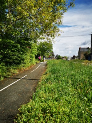 Image de l'article De la pelouse à la prairie