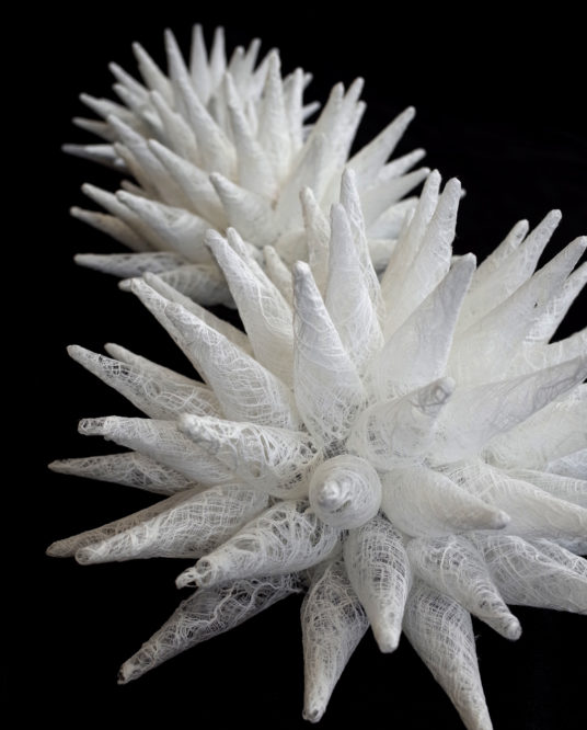 Image article Exposition : Regards Croisés