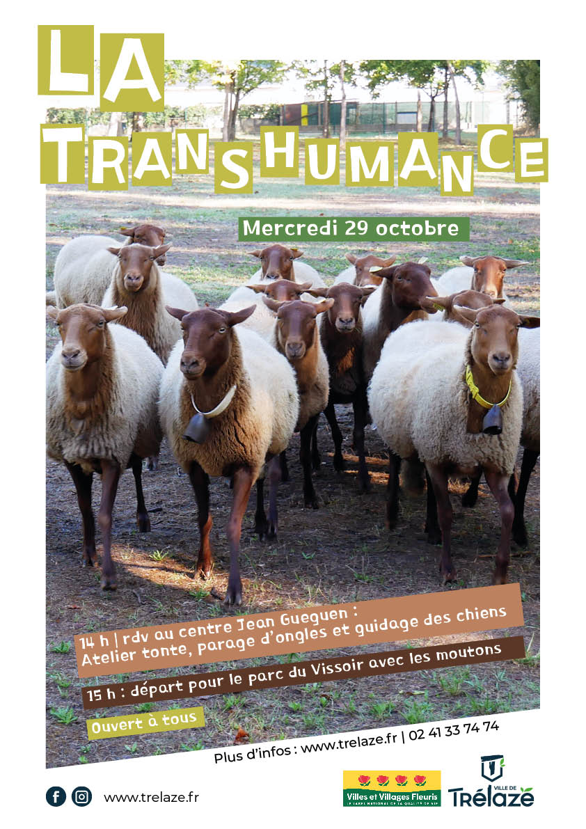 Image de l'évènement Transhumance et ateliers