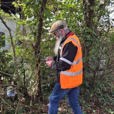 Photo de l'article Une action pour éviter la prolifération du moustique-tigre  