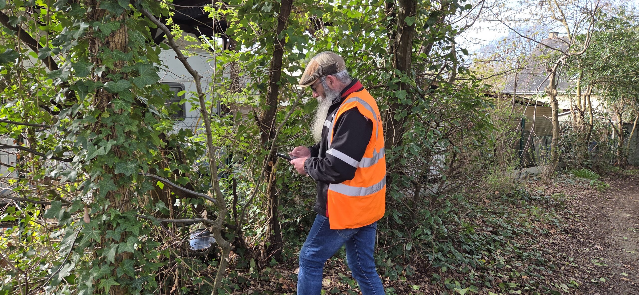 Image de l'article Une action pour éviter la prolifération du moustique-tigre  