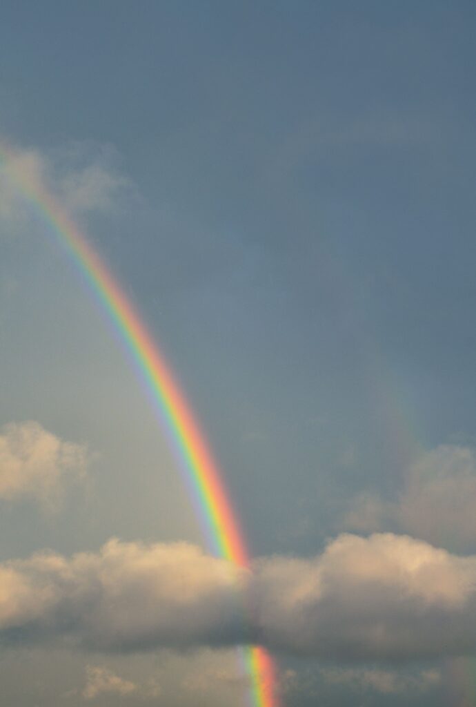 Image de l'article Projection surprise